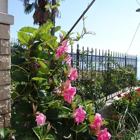 Anamarija * 奥帕提亚